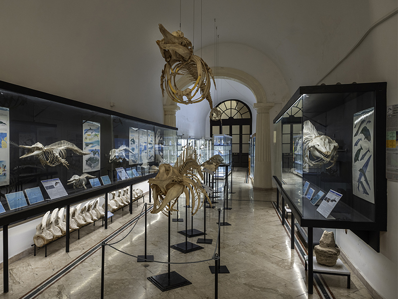 Museo del Mare di Gallipoli