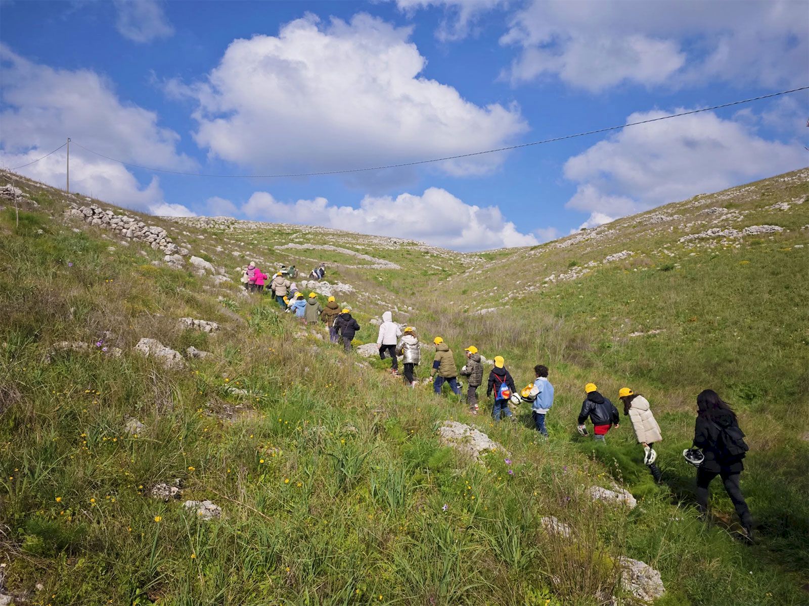 Paesaggi in evoluzione: la Murgia tra biodiversità, geodiversità e cambiamento climatico